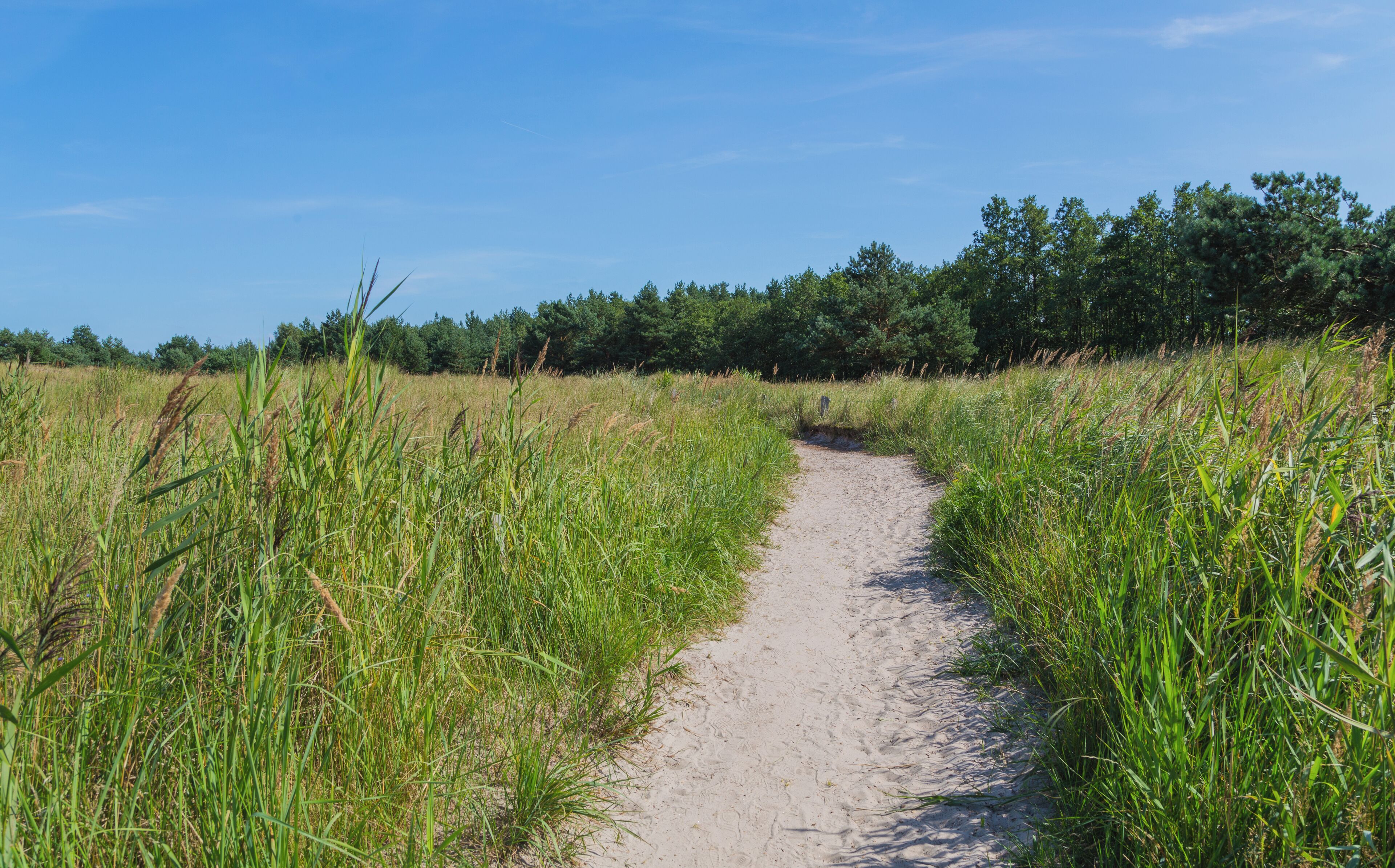This is a picture of the protected area listed at WDPA under the ID