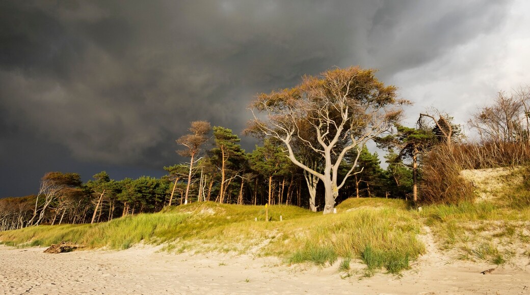 ボルン アム ダルス