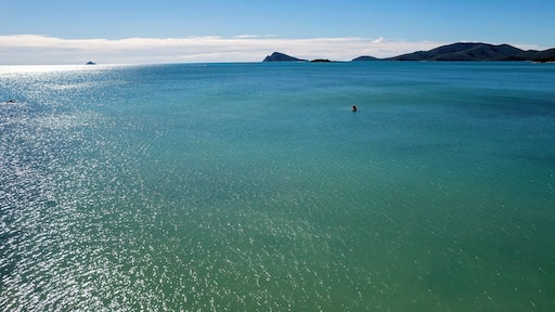 Kayak Paddling Off Shore