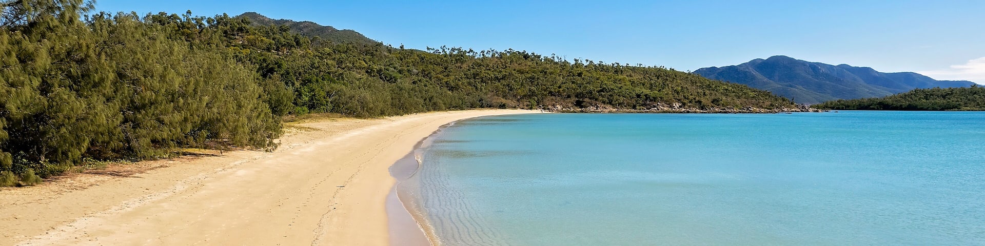 Long Sandy Beach Coastline