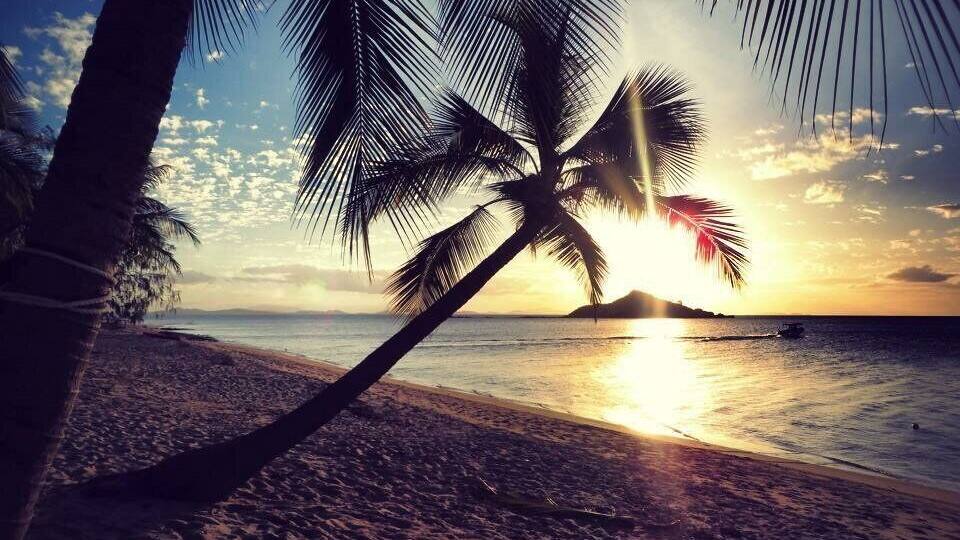 A beach with palm trees and a sunset over the ocean.