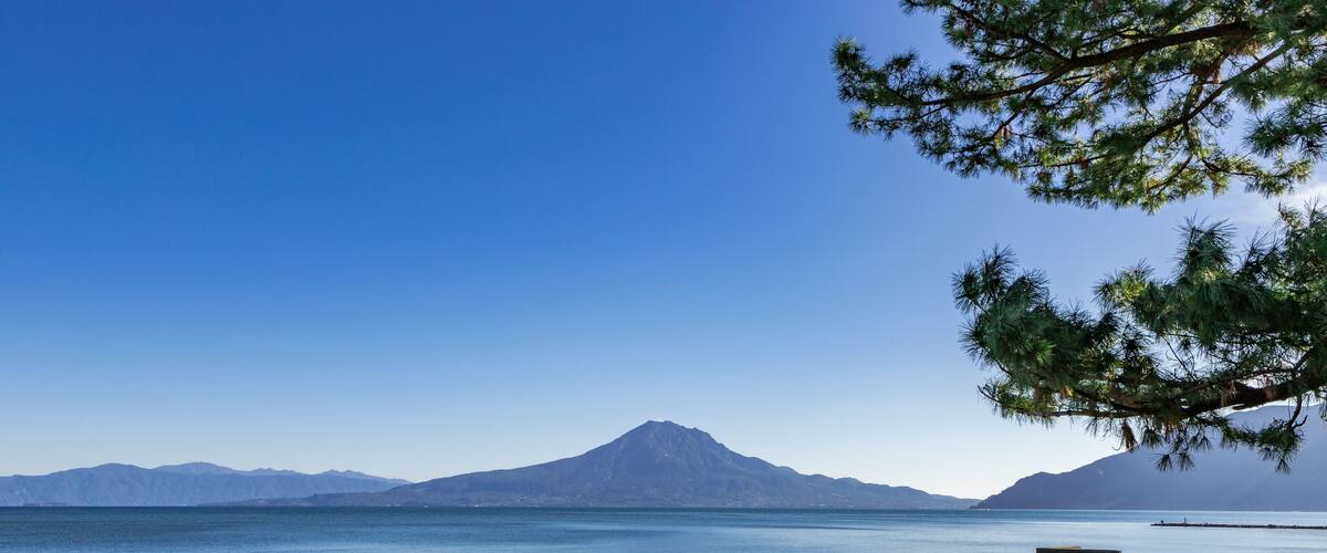 A beach with a mountain in the background and a pine tree in the foreground.