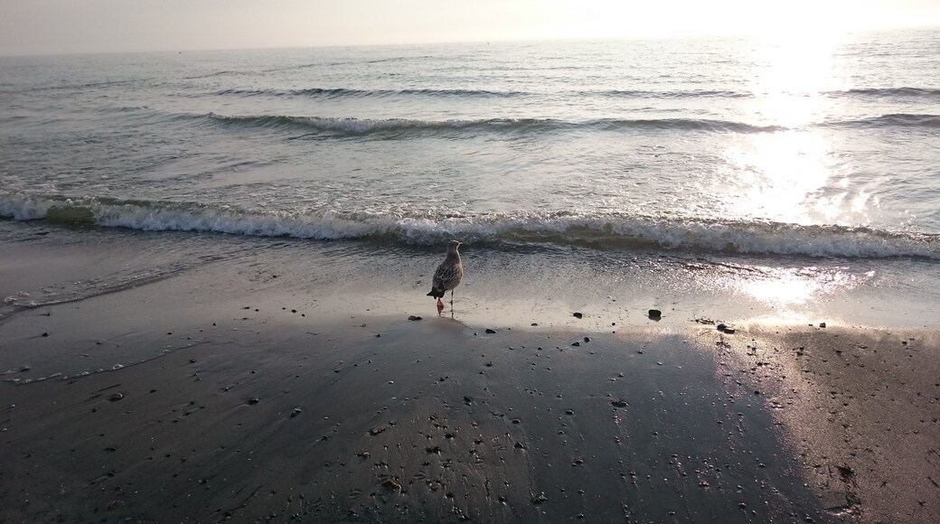 Hiddensee bei Kloster