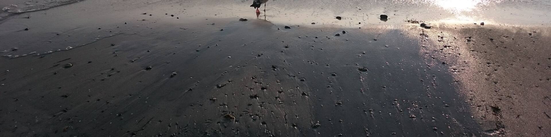 Hiddensee bei Kloster