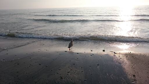 Hiddensee bei Kloster