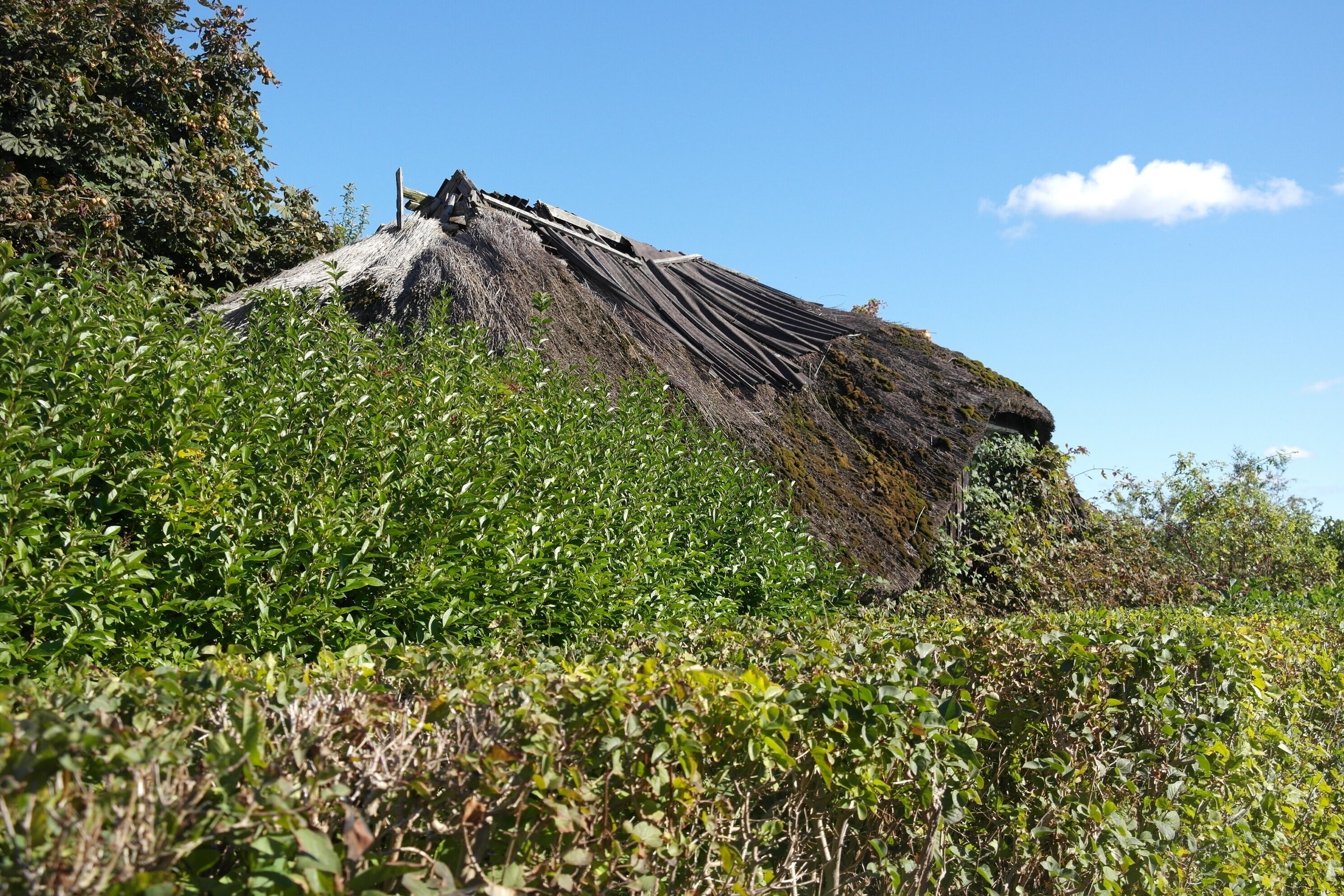 Vitte, fisher's cabin, cultural heritage