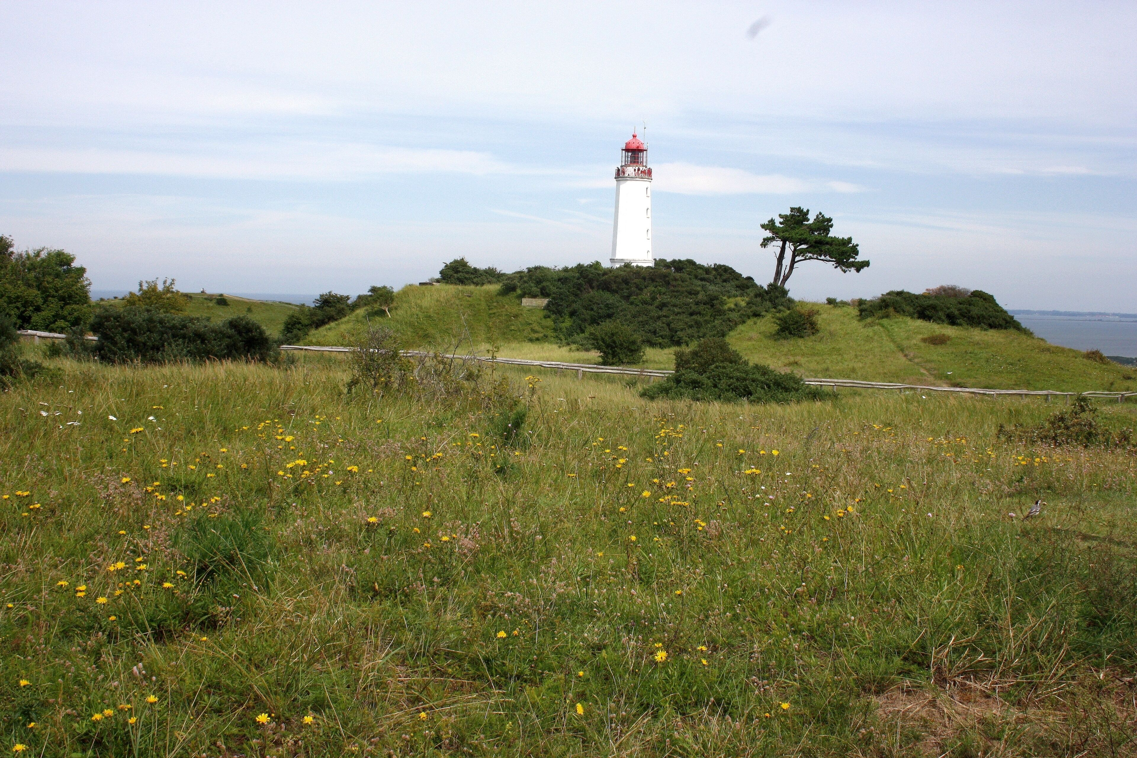 Ostseeinsel Hiddensee - Leuchtturm auf dem Dornbusch