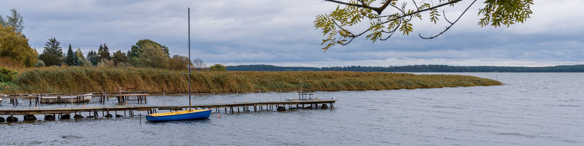 A wooden pier with a boat and some benches on the coast of the Krumminer Wiek in Neeberg, Mecklenburg-Western Pomerania, Germany