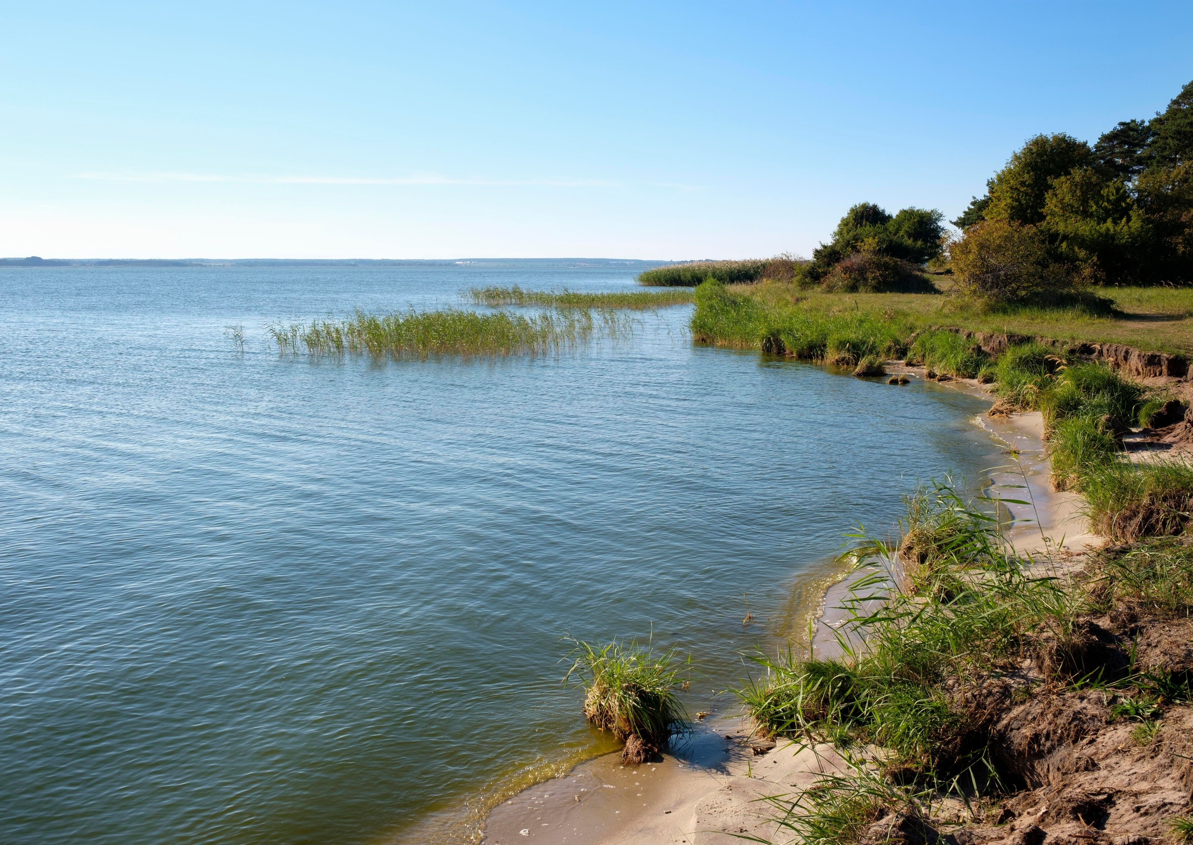 Shore, backwaters, Peninsula Gnitz, Luetow, Usedom, Mecklenburg-Western Pomerania, Germany, Europe