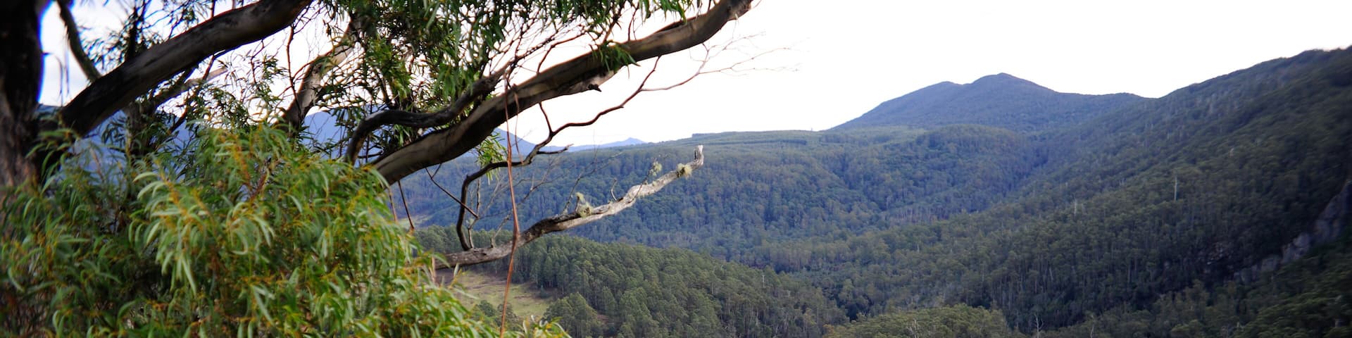 A river flowing through a forested valley with steep cliffs and dense vegetation.