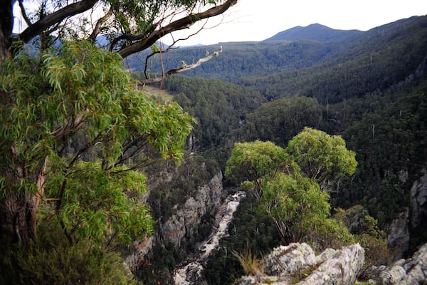 view of Leven canyon