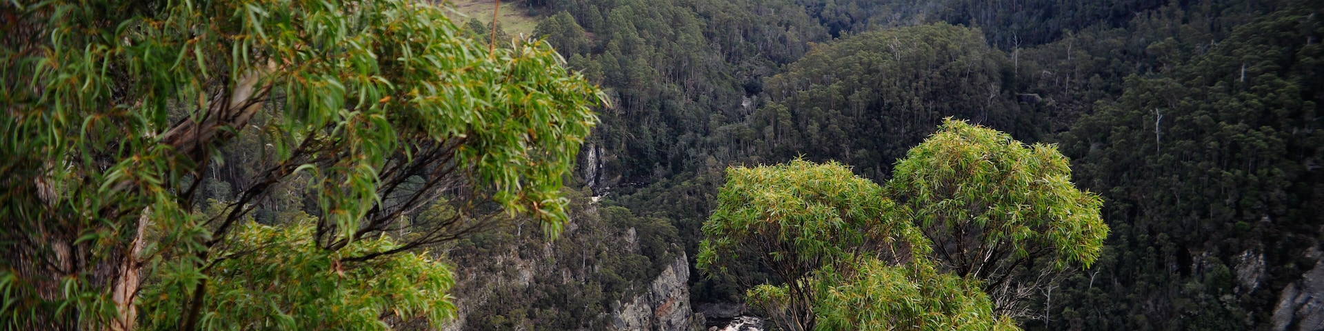 view of Leven canyon