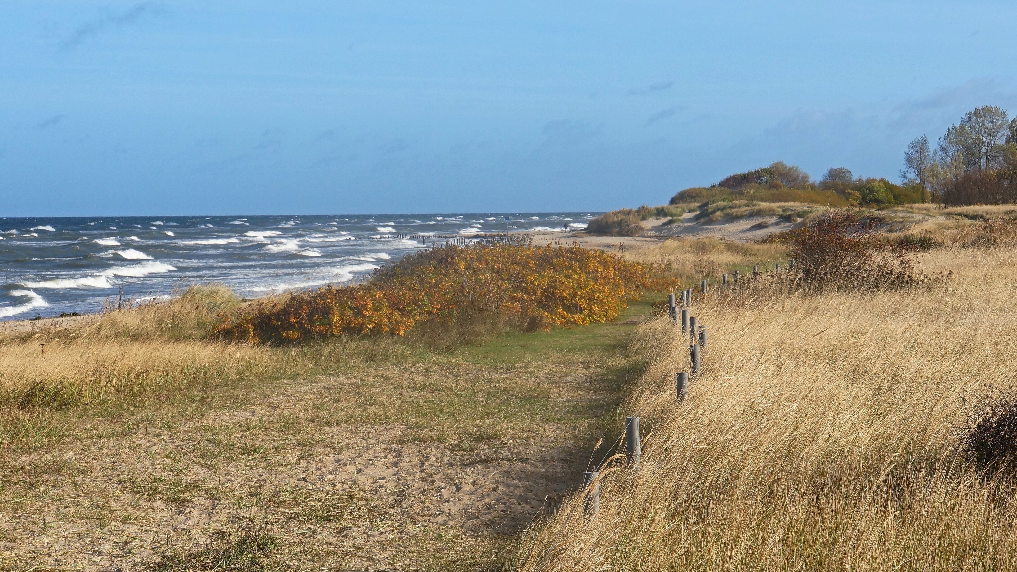 Die Ostseeküste mit der Dünenlandschaft im Abschnitt Kühlungsborn - Riedensee (Weststrand)