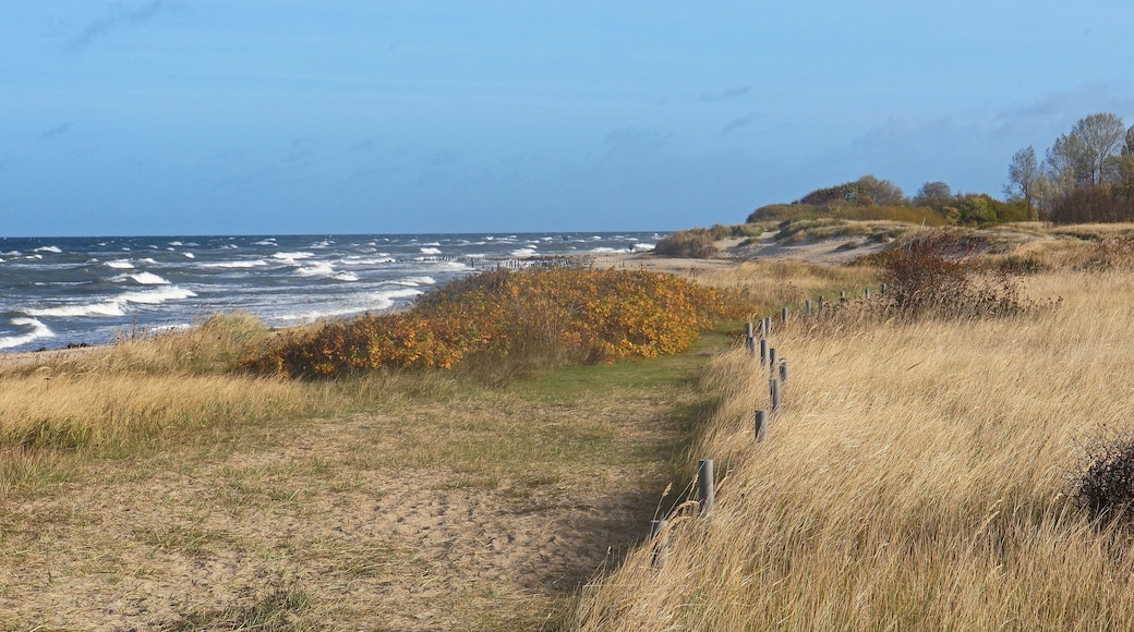 Die Ostseeküste mit der Dünenlandschaft im Abschnitt Kühlungsborn - Riedensee (Weststrand)