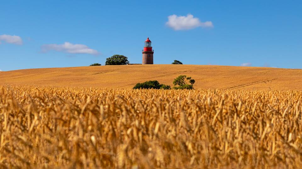 A wheat field with a lighthouse on a hill.