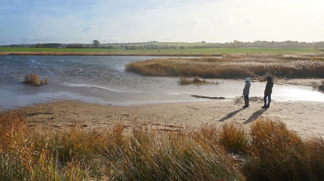 Blick vom Überlauf über den Riedensee zum Bastorfer Leuchtturm