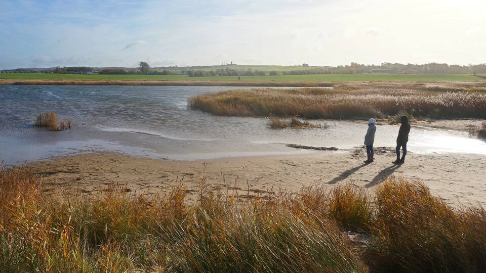A riverbank with two people standing, surrounded by tall grasses and fields.