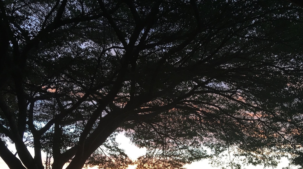 Beautiful place to sit and enjoy the sunset