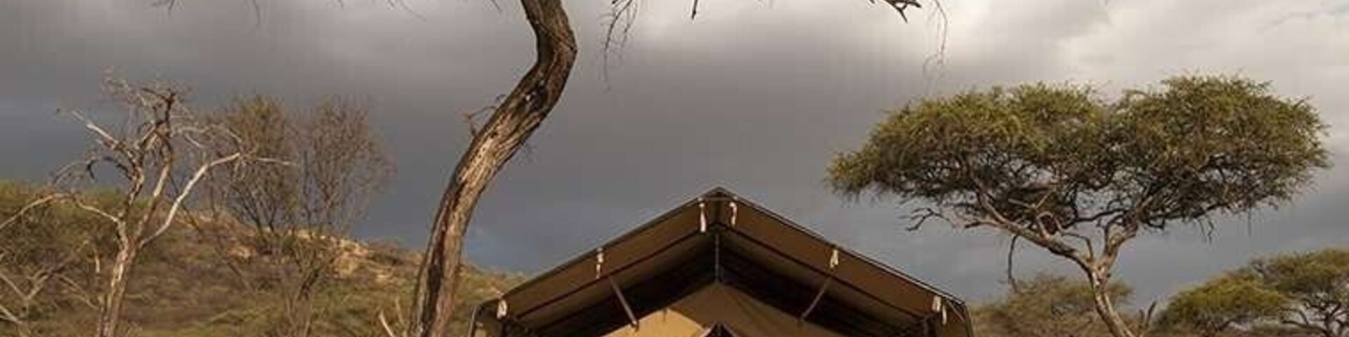 Uma tenda de safári em uma savana seca, com uma árvore grande e um céu nublado.
