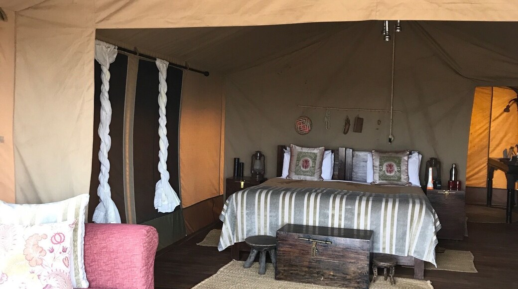 The most amazing safari camp in central Tanzania one of the many Asilia camps across the country. Ideal locations with the most amazing staff and knowledgeable guides. All are eco minded with a local "give back" program. This one is run by the most wonderful women who threw me a party on my 60th birthday that will stay in my heart forever.