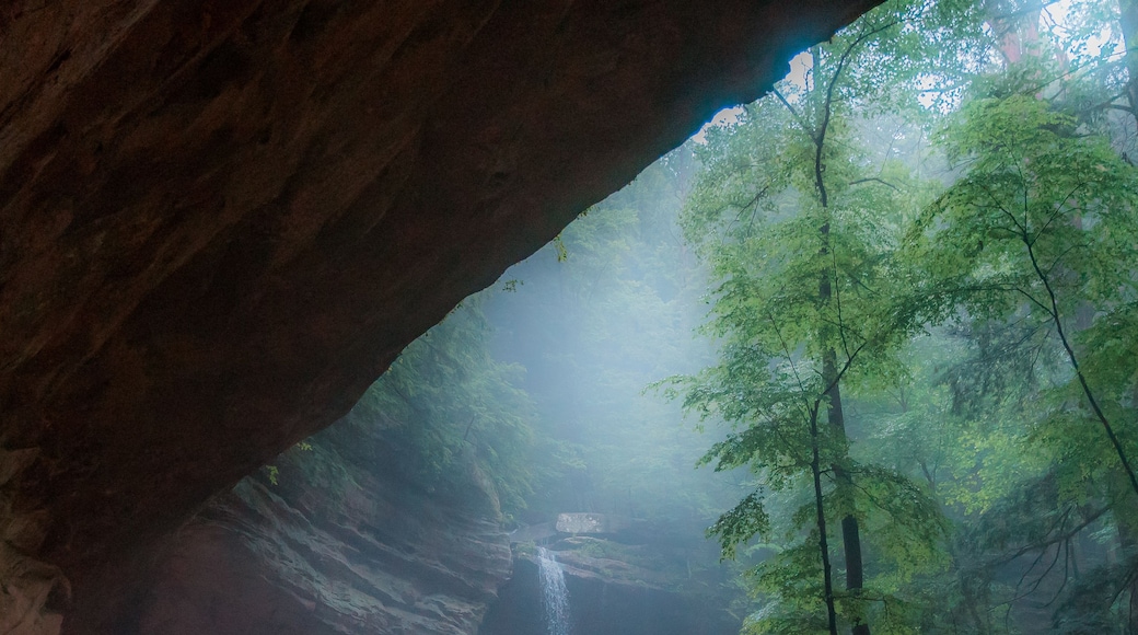 Eine verborgene Höhle mit einem Wasserfall im Inneren, umgeben von Wald.