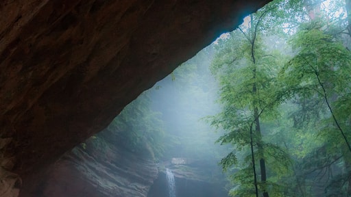 A cave opening with a waterfall inside, surrounded by forest.
