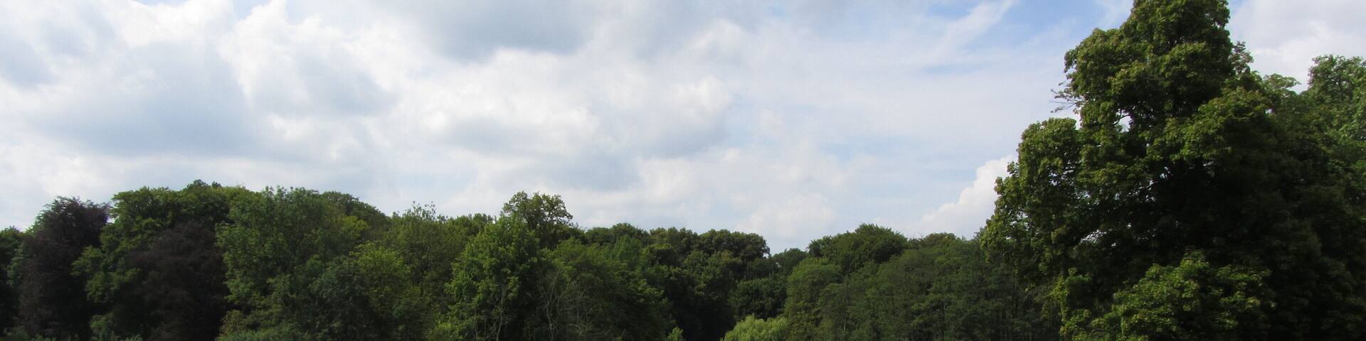 Semlower Schlossteich mit Wasserpflanzen zugewachsen.