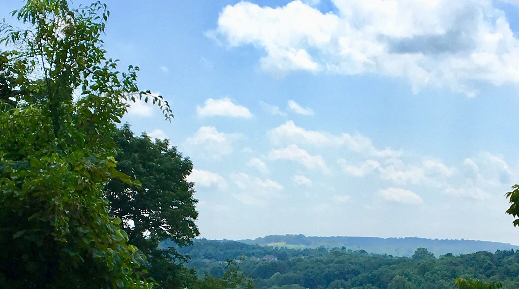 Sometimes you just stumble on #nature in your own backyard like I did today. 21 years in the same town and never saw this view until today. If all you have ever seen of New Jersey USA is Newark Airport you have no idea what you’re missing. July2019. #yepitsjersey