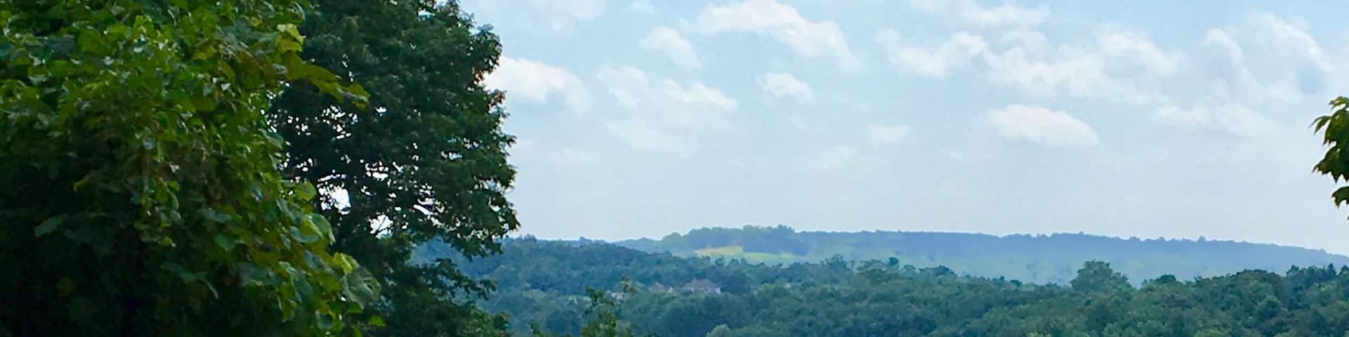 Sometimes you just stumble on #nature in your own backyard like I did today. 21 years in the same town and never saw this view until today. If all you have ever seen of New Jersey USA is Newark Airport you have no idea what you’re missing. July2019. #yepitsjersey