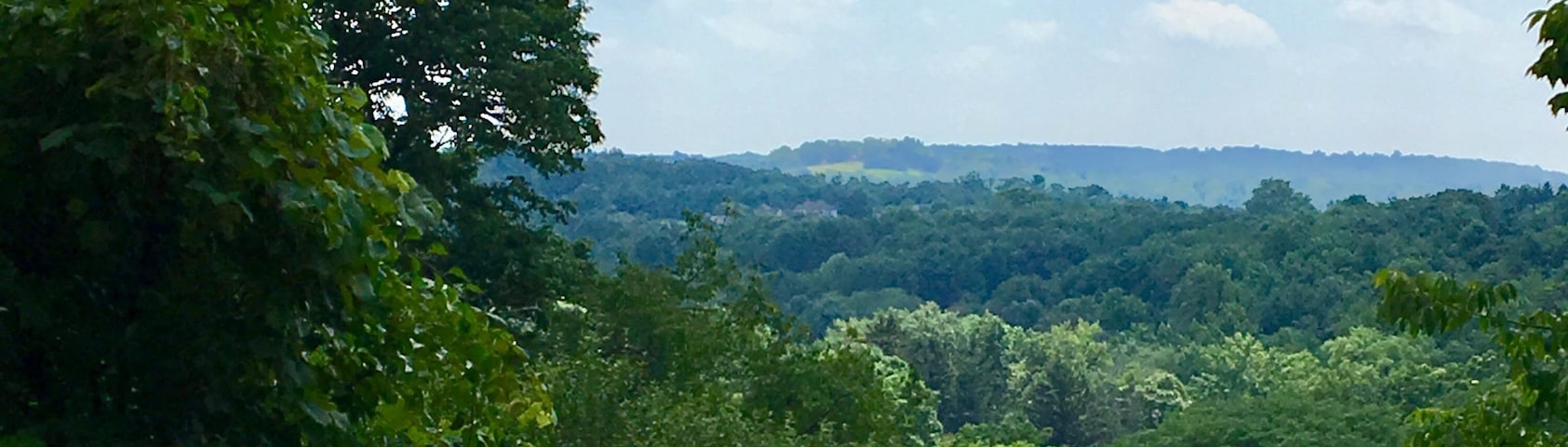 Sometimes you just stumble on #nature in your own backyard like I did today. 21 years in the same town and never saw this view until today. If all you have ever seen of New Jersey USA is Newark Airport you have no idea what you’re missing. July2019. #yepitsjersey