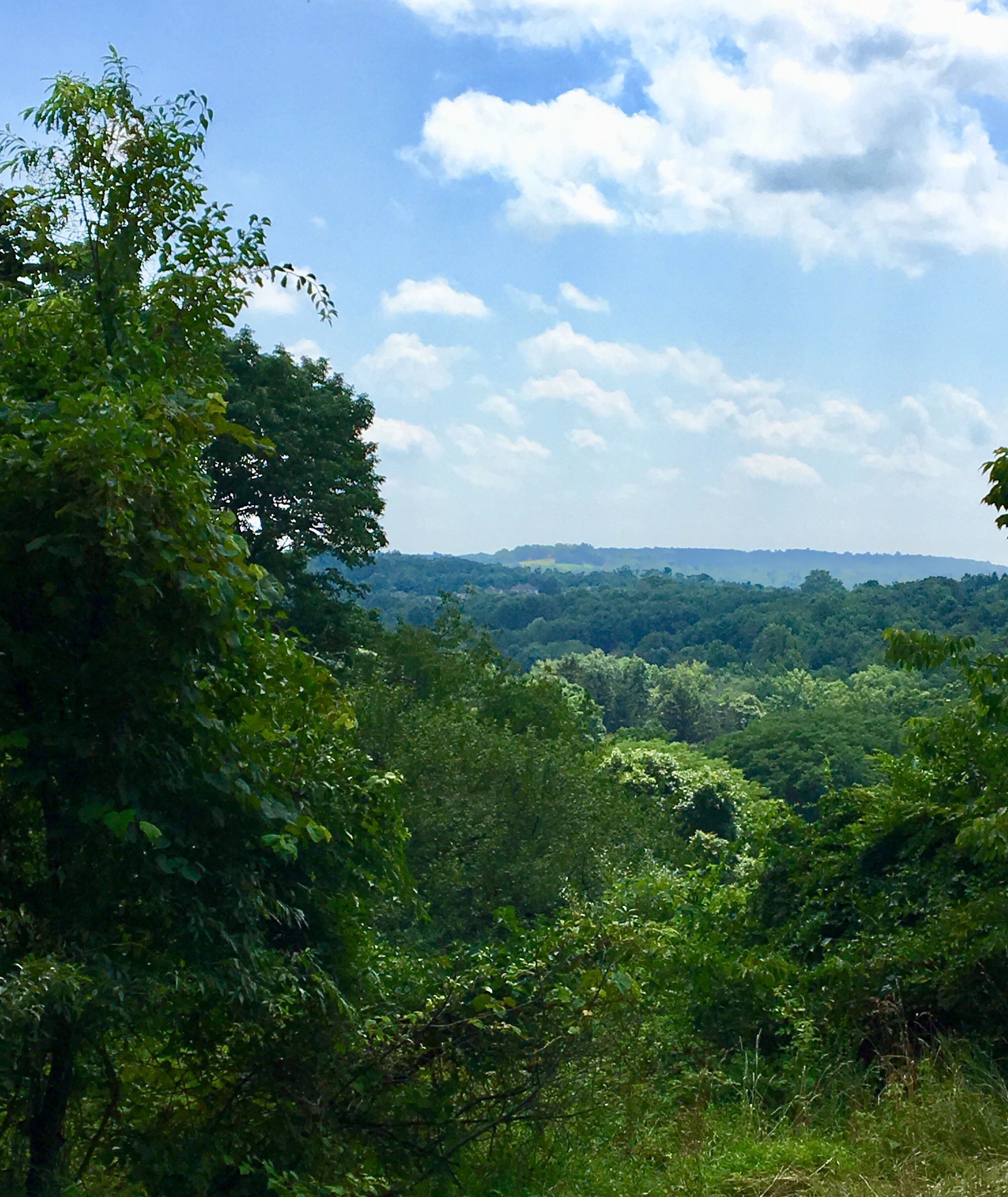 A lush green landscape with dense foliage and a distant view of a hilly terrain under a partly cloudy sky.