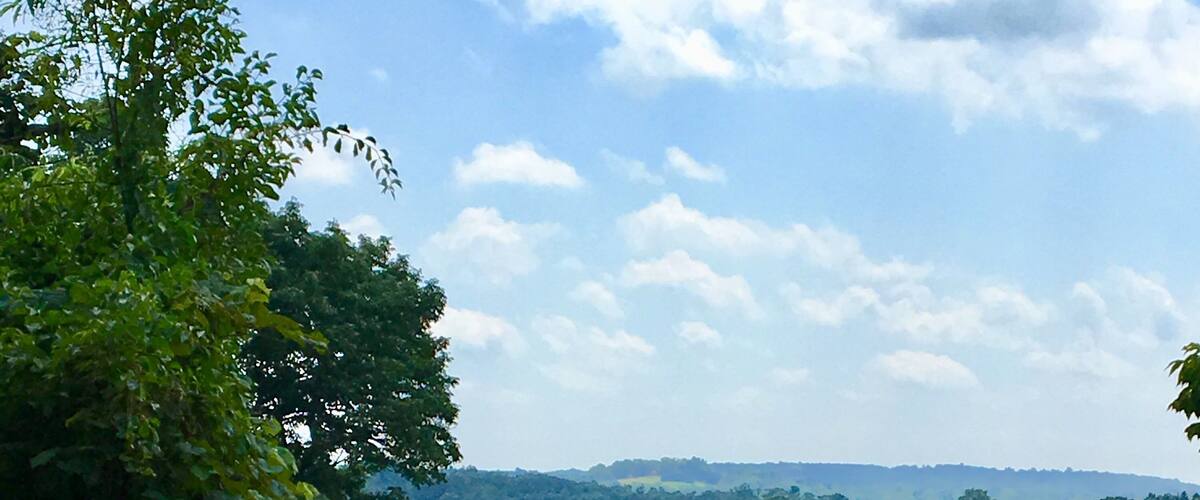 A lush green landscape with dense foliage and a distant view of a hilly terrain under a partly cloudy sky.