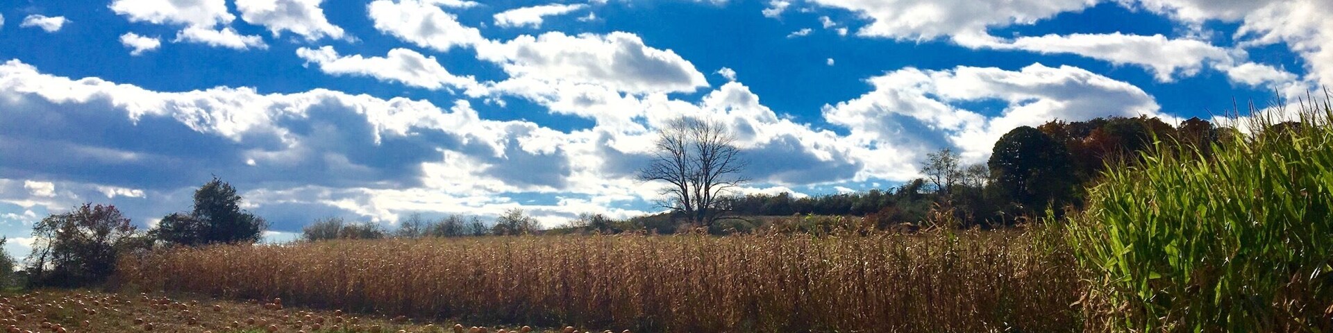 Enjoying a super fall Sunday in the country, picking pumpkins and sipping hot cider. One of the last unspoiled farms in the area #yepitsjersey. October 2016