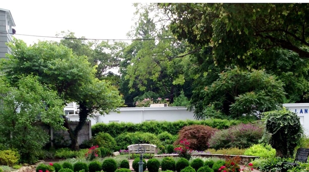 Phoenix House Garden, August 2013
#localgem
#lovemytown
#green