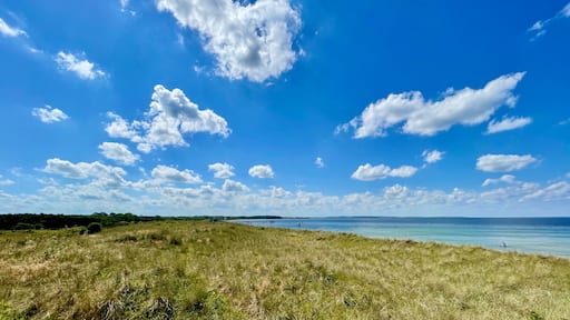 فايسنهويزا شتراند