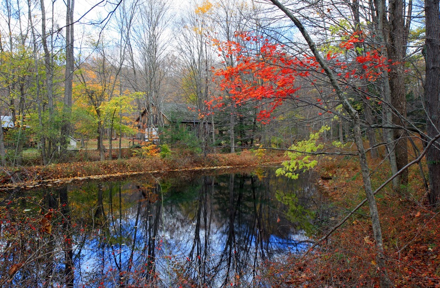 Historic Millbrook Village