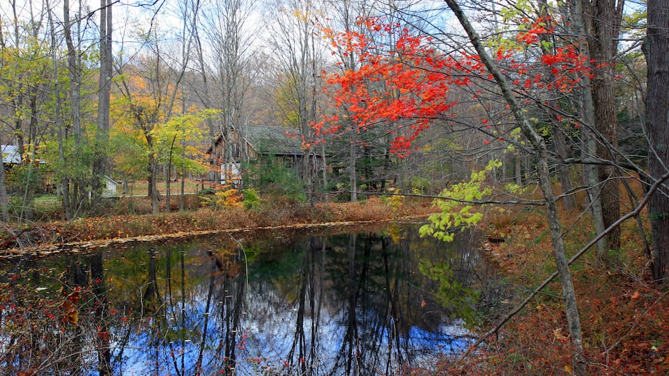 A serene pond surrounded by autumn-colored trees and a rustic cabin.