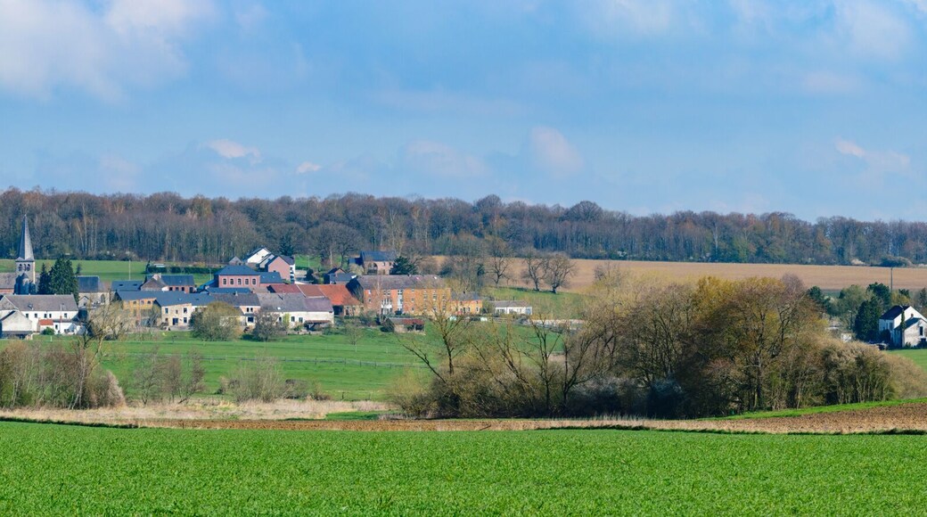 Froidchapelle