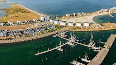 An aerial view of a coastal town with a marina, beach, and residential buildings.