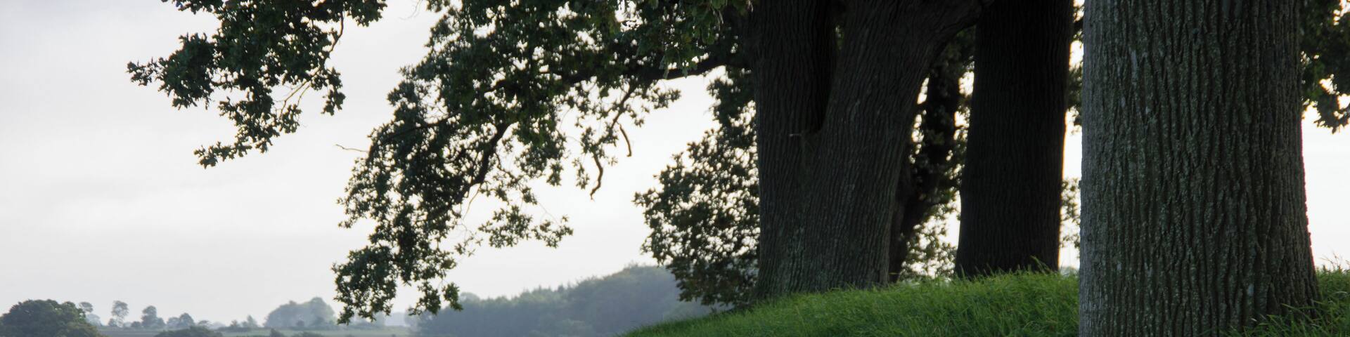 Waabs, Ortsteil Karlsminde in Schleswig-Holsten. Es ist ein Hünengrab.