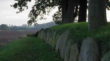 Waabs, Ortsteil Karlsminde in Schleswig-Holsten. Es ist ein Hünengrab.