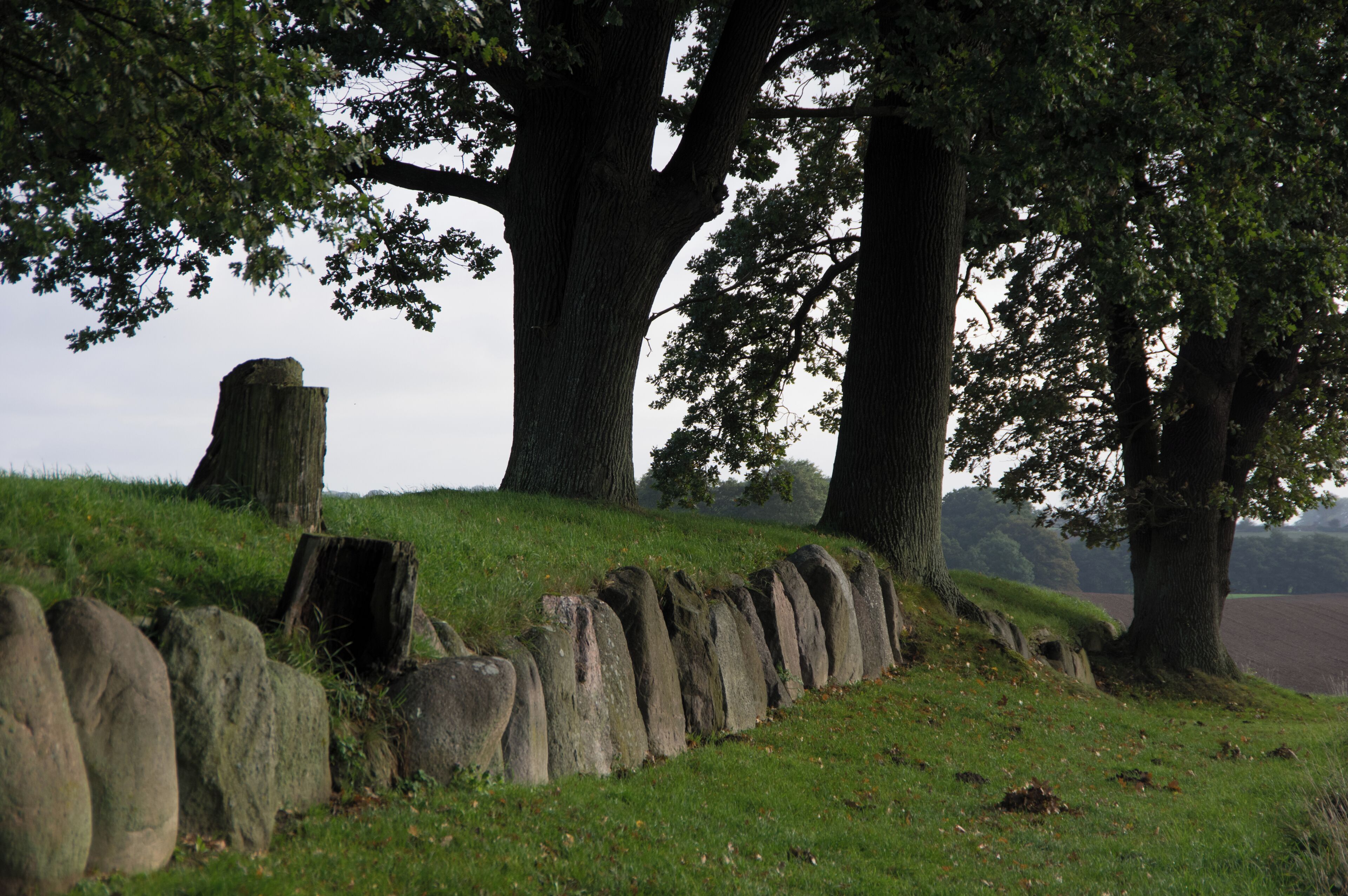 Waabs, Ortsteil Karlsminde in Schleswig-Holsten. Es ist ein Hünengrab.