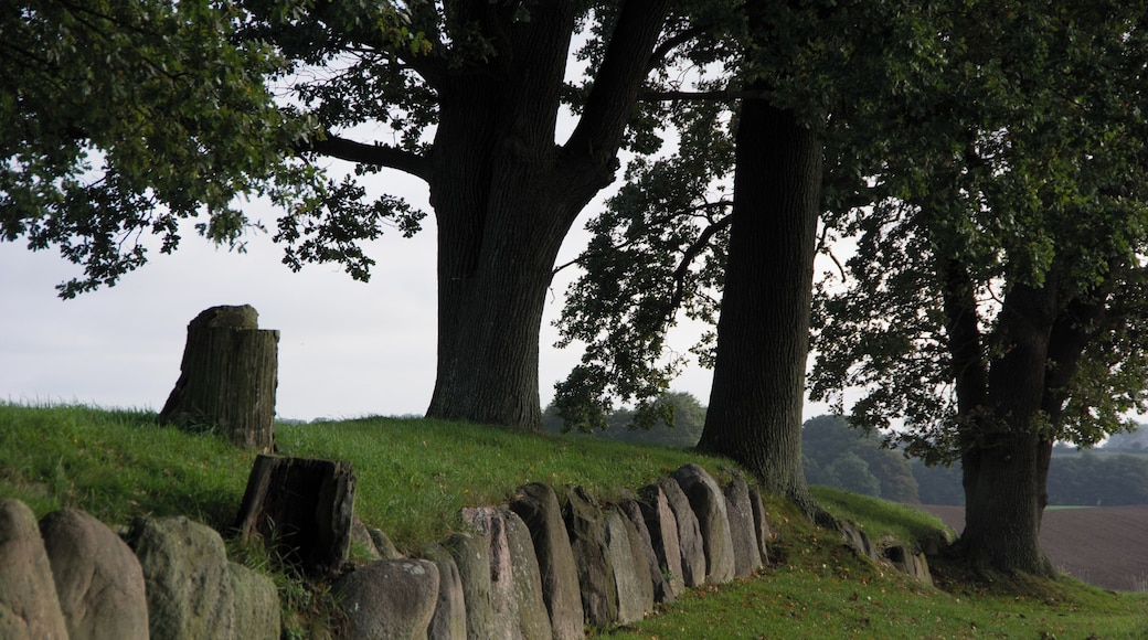 Waabs, Ortsteil Karlsminde in Schleswig-Holsten. Es ist ein Hünengrab.