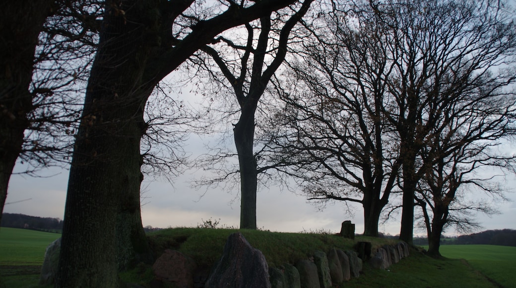 Waabs, Ortsteil Karlsminde in Schleswig-Holsten. Es ist ein Hünengrab.