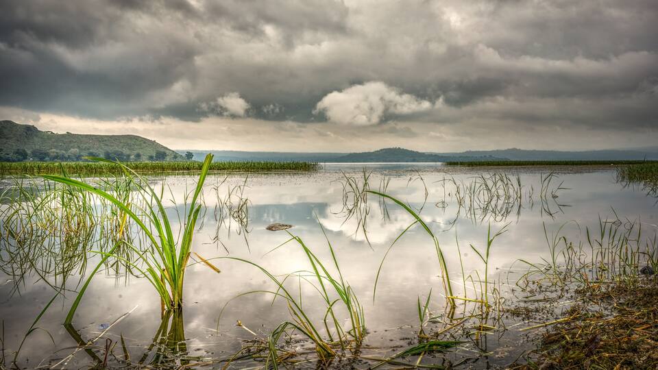 A calm lake with reeds in the foreground and a cloudy sky above.