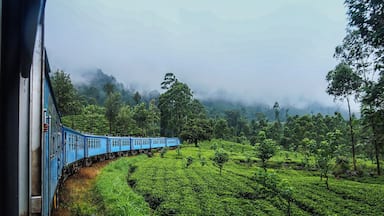 A photo taken while I was traveling to Badulla in the upcountry railway line. This is the most scenic railway line in Sri Lanka and it's highly recommended. You will find this one in a life lite experience. It is totally 8 hour ride if my memory is good.