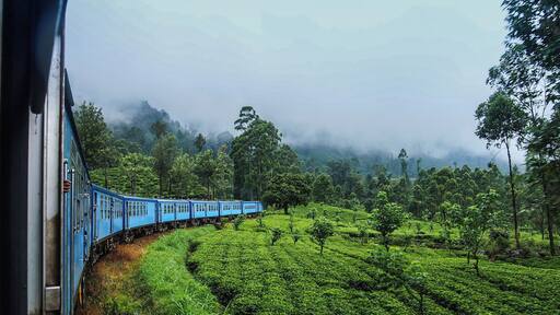 A photo taken while I was traveling to Badulla in the upcountry railway line. This is the most scenic railway line in Sri Lanka and it's highly recommended. You will find this one in a life lite experience. It is totally 8 hour ride if my memory is good.