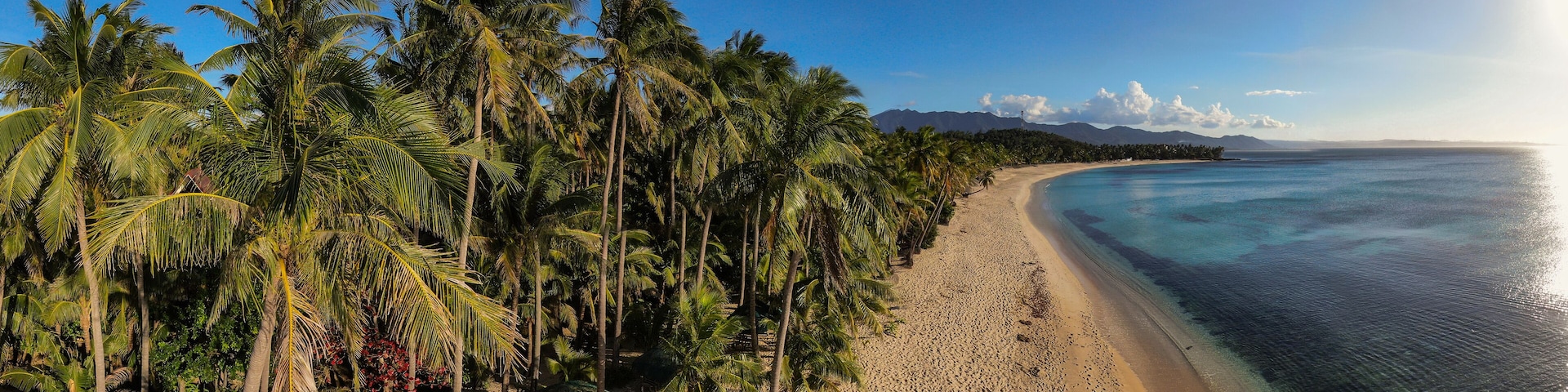 aerial drone picture of pristine palm fringed beach