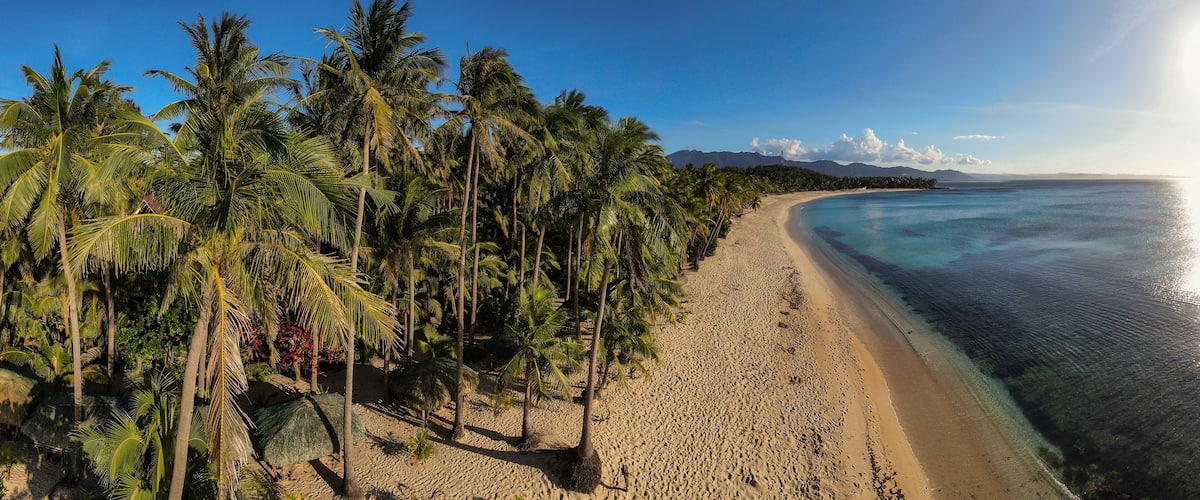 aerial drone picture of pristine palm fringed beach