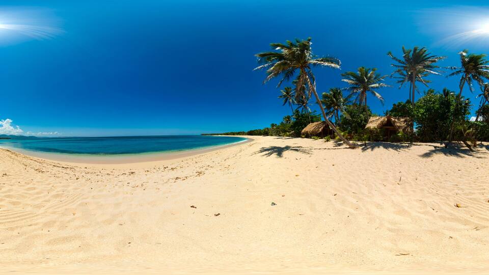 A sandy beach with clear blue water, palm trees, and a thatched-roof hut.